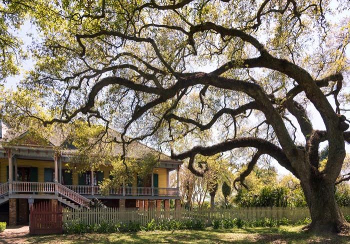 EDITORIAL: Laura Plantation is a restored historic Louisiana Creole plantation on the west bank of the Mississippi River near Vacherie, Louisiana (U.S.).Formerly known as Duparc Plantation, it is significant for its early 19th-century Créole-style raised big house and several surviving outbuildings, including six slave quarters.